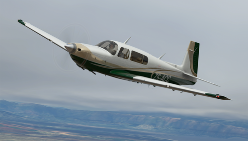 Champagne and Green Livery for Carenado Mooney