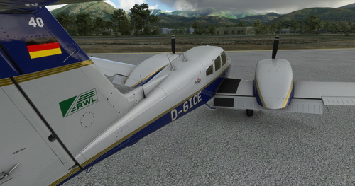 RWL Carenado - PA44