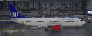 SAS 737 MAX NEW thumbnail 5