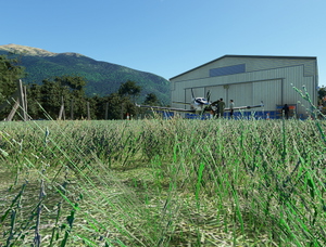 Makarora Airstrip - NZMW thumbnail 5
