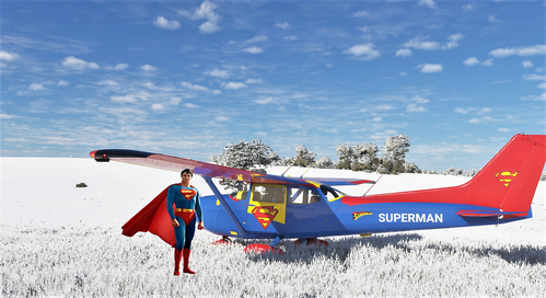 Cessna 172 (G1000) Superman