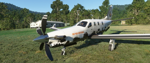 Bush Divers VA -  Daher TBM 930 Livery