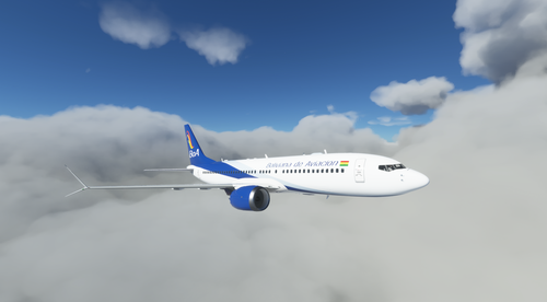 Boliviana de Aviación (BoA) - Boeing 737 MAX