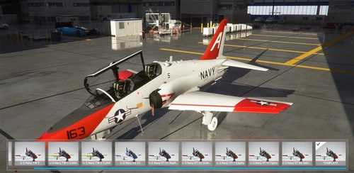 IndiaFoxtEcho T-45C paintkit