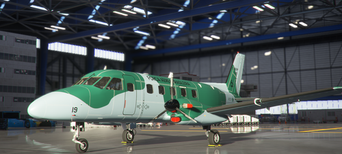 EMB110P1 | FAB C-95BM [2319]
