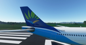 Air Caraibes A330-300 (PMP) 8K thumbnail 3