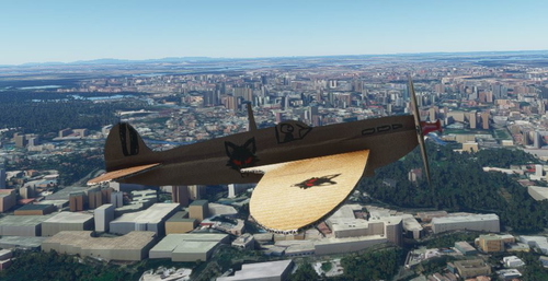 Un-Official Transportes Coyote Cardboard Spitfire for The SkyPark.