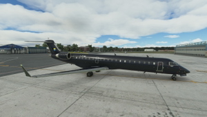 Aerosoft CRJ 550 I-FIMI Private Jet thumbnail 4