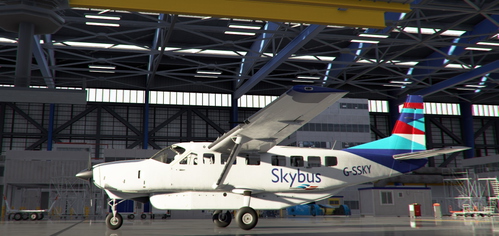 Skybus Livery for Cessna 208B Grand Caravan EX (Fictitious) 