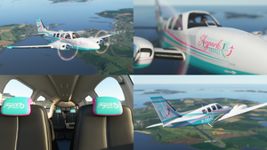 The Skypark Livery Pack - Premium Deluxe thumbnail 3