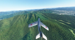 MIG-15 North Korean Air Force #2057 thumbnail 5