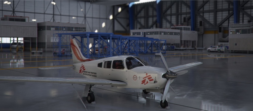 Piper Arrow III "Doctors Without Borders (Médecins Sans Frontières)" livery