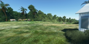 Mok, (AYMK) PNG. thumbnail 5