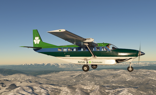Aer Lingus Commuter C208 (80's Livery)