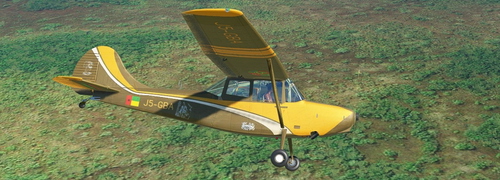 Cessna L-19 Bird Dog bbs J5-GBA Bijago
