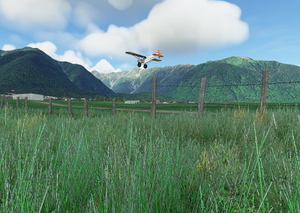 Skydive Fox Glacier - NZFO thumbnail 4