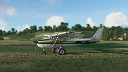 bagolu Cessna 172 Bush kit Green and Gold