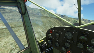 Gran Canaria Bushstrip Capers thumbnail 9