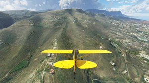 Gran Canaria Bushstrip Capers thumbnail 16