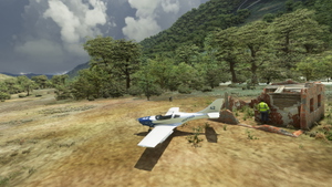 Gran Canaria Bushstrip Capers thumbnail 15