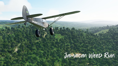 Jamaican Weed Run - Bushtrip