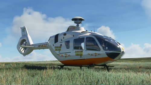 H135 SafariWings