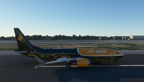 Air Lince 737