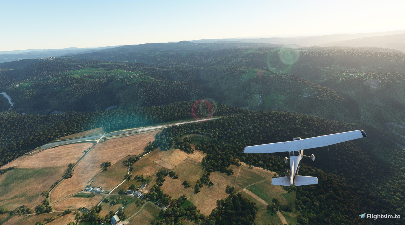 The Primitive Way for Microsoft Flight Simulator | MSFS