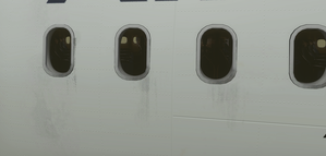 [FBW] [A32NX] AirFrance (Dirty Version) [10K] No Text Mirroring  thumbnail 12