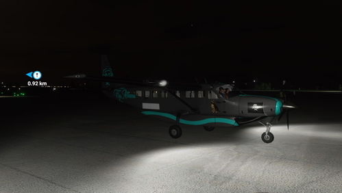 Cessna 208 B FlyAthena 2 Sea of Thieves (Panda Version)