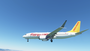 PEGASUS AIRLINES thumbnail 7
