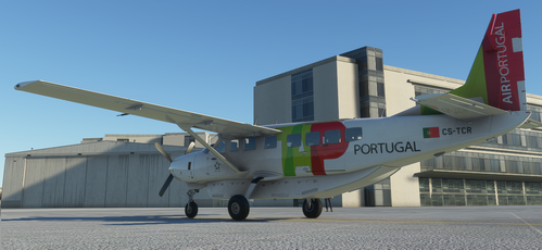 Cessna 208B Grand Caravan TAP Air Portugal [4K Fictional]