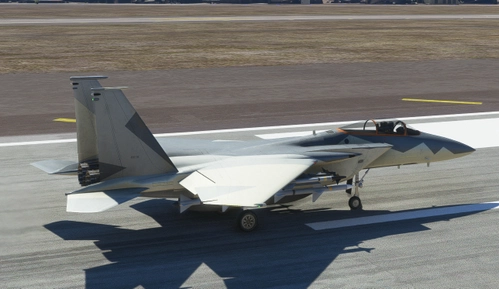 DC Designs F-15 Ferris scheme