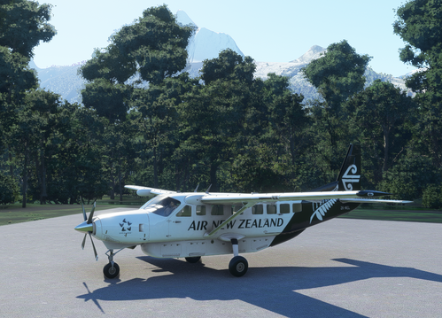 Cessna 208B Air New Zealand [4K Fictional]