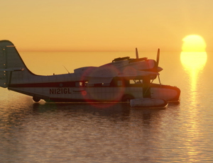 Caribbean Island Hopping with the Goose Bush Trip thumbnail 1