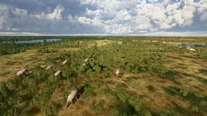 Xakanaxa airport, Okavango Delta (FBMF) thumbnail 8