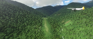The Bush Divers Invitational: New Guinea (Bush Trip) thumbnail 3