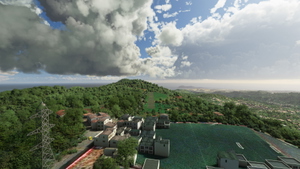 Gran Canaria Bushstrip Capers thumbnail 8