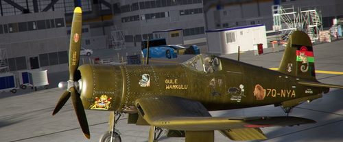 milviz corsair 7Q-NYA Chewa brown