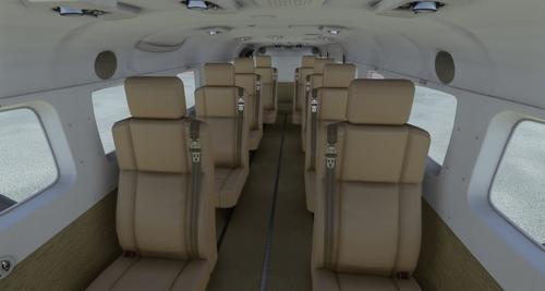 Cessna 208 Custom beige interior
