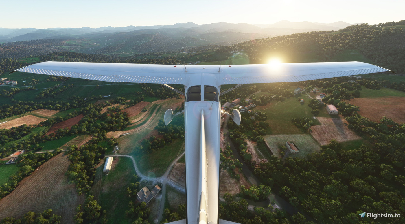 The Primitive Way for Microsoft Flight Simulator | MSFS