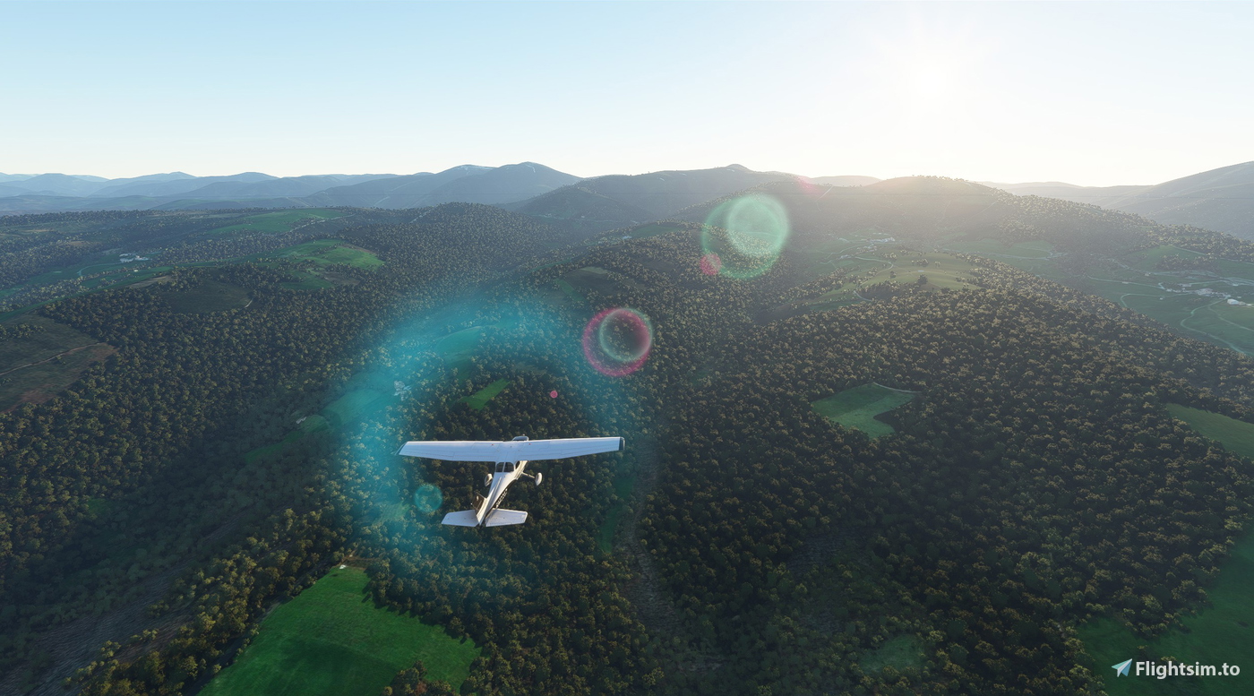 The Primitive Way for Microsoft Flight Simulator | MSFS