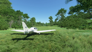 Uncle Bobs Farm, Jamaica (PZ21) thumbnail 6