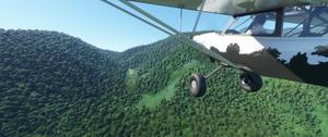 The Bush Divers Invitational: New Guinea (Bush Trip) thumbnail 4