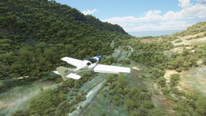 Gran Canaria Bushstrip Capers thumbnail 5