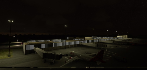 WIDD - Hang Nadim International Airport light fix for default WIDD