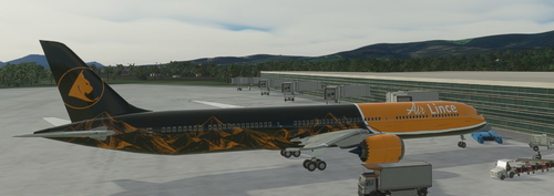 Air Lince 787