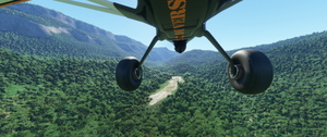 The Bush Divers Invitational: New Guinea (Bush Trip) thumbnail 9