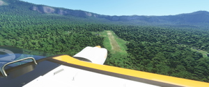 The Bush Divers Invitational: New Guinea (Bush Trip) thumbnail 8