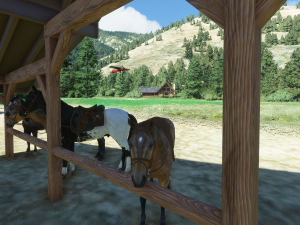 49ID Pistol Creek Ranch, Idaho thumbnail 10